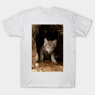 Eastern Wolf Pup T-Shirt